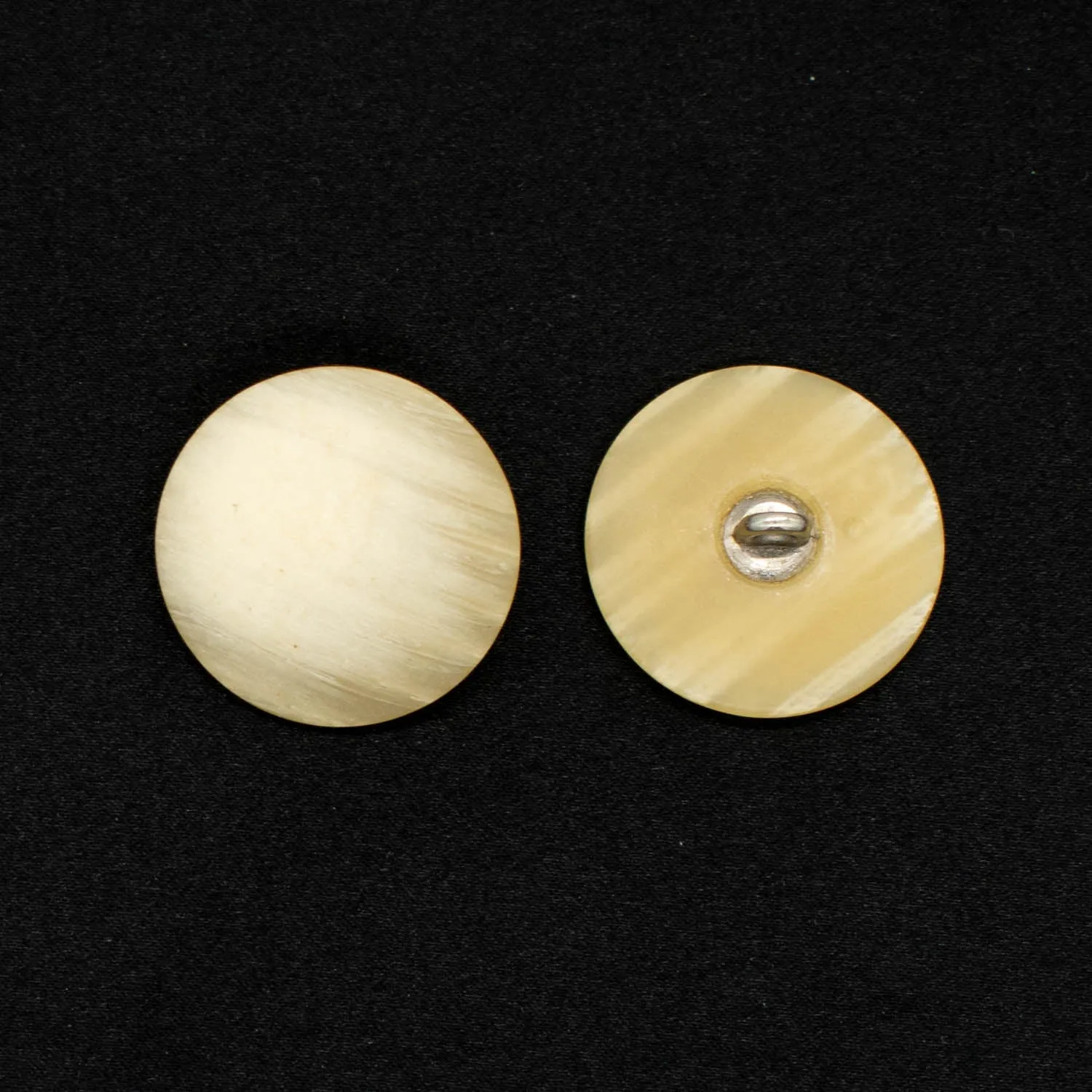 Matt Flat Horn Shank Button